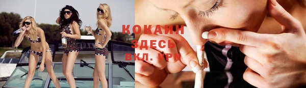 винт Алексин