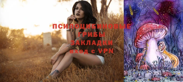 молекула духа Алексеевка