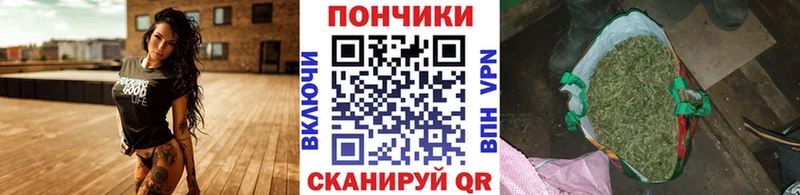 Бошки Шишки конопля  Тулун 